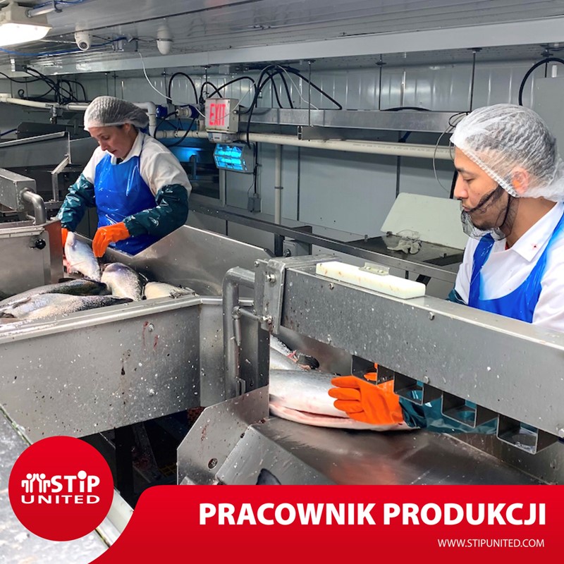 Pracownik produkcji